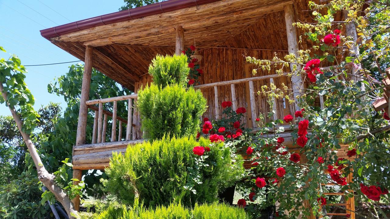 Anatolia Hotel Geyre Karacasu Aydin Εξωτερικό φωτογραφία